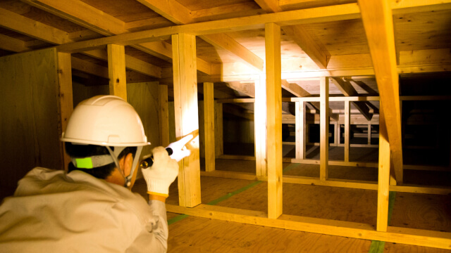 衛生害虫、不快害虫の防除・駆除