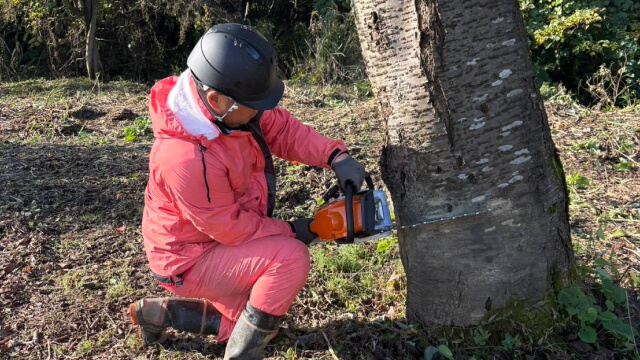 サービススライド画像